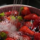 숲속,헤이리114 이미지