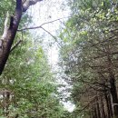 따뜻한 한줄 이미지