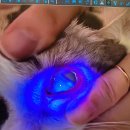 24시 해든동물의료센터 민락점 이미지