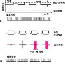 플루즈