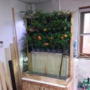 이화 유치원 이미지