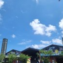 더 마켓 이미지