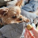 송정 물레방아 휴게소 이미지