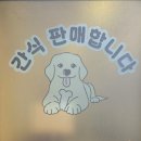 세종시애견미용 산책하는강아지 미용샵 후기 (feat. 미용가격, 후기)