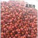마른 기침이 안 멈춰요. 가래까지 심할 때