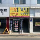 양지수선 이미지