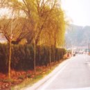 임동초등학교 이미지