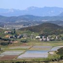 스타벅스 인근 이미지