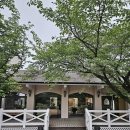 화성 라비돌CC 라운드 후기, 9홀 공략법과 그린피 정보 총정리!