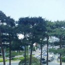 세움메디칼 이미지