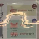강한한의원 | 노원한의원 새살침원조 여드름흉터치료 편평사마귀 제거 내돈내산 노보정후기