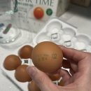 에그토스트 | 하림 오드그로서 오늘 낳은 달걀로 만든 근사한 에그치즈토스트 후기