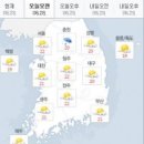 소나비 이미지