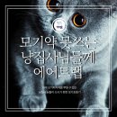 냥집사전기 이미지