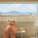 카페포레스트 이미지