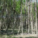 신평동1007 이미지