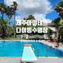 제주 마이테르 수영장 야자수 다이빙 2024년 7월 30일 방문 제주도민 찐후기 꿀팁