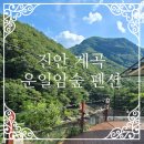 운일암숲펜션 네이버블로그