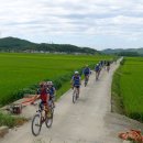 솔메이트 이미지