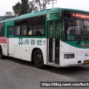 경진여객운수(주) | (경기 화성 / 시내) 경진여객운수(주) 33-1번 Daewoo BS106 ROYAL CITY Diesel