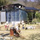 박곡농장 이미지