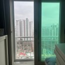 덕진-87 이미지