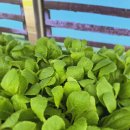 대구농약사 이미지