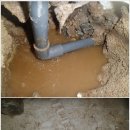 송광약국 이미지