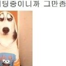 엄마밥도 이미지