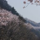 안민 이미지