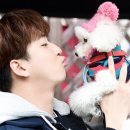 스타펫 이미지