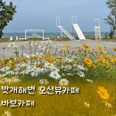 밧개오션 | [태안카페] 밧개해변 사진찍기 좋은 바보카페