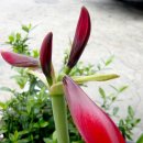 대지-생명 이미지