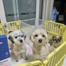 하임메디 이미지