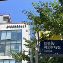 [합정 미용실 추천] 내돈내산 레이어드펌 존맛집 살롱 드 에드가