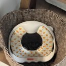 서가무주 이미지