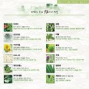 수헤어갤러리 이미지