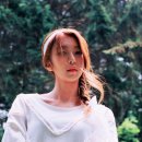 다미 이미지