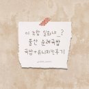 순례국밥 | [울산 맛집] 울산 순례국밥 솔직 후기 | 국물 진하고 속 든든한 한 끼