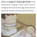 맘마푸드 네이버블로그