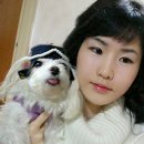 복 이미지