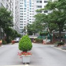 탄벌동-19 이미지