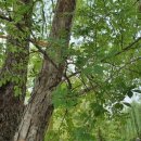 상희공원 이미지