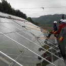 크린넘버원 이미지