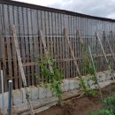 여주-0712 이미지