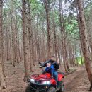 삼삼오오목장 이미지