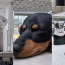 노웨어하우스 이미지