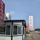 분수대식당 | 양양 입소문 맛집 분수대식당 후기
