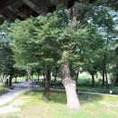 숲옛마을(갈계) 이미지