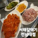 서래갈매기(전대점) | 전대 후문 맛집 오랜만에 가본 서래갈매기